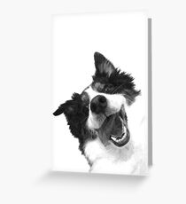 Black and White Happy Dog Greeting Card