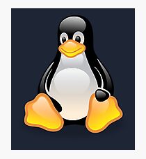 linux tux Photographic Print
