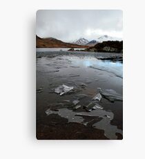 Ice Flow 2 Canvas Print