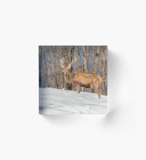 King of the Hill Acrylic Block