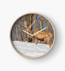 King of the Hill Clock