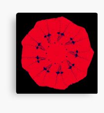 WDVT Mandala - 0042 - Answers in the Ether Canvas Print
