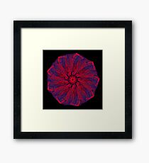 WDVT Mandala - 0043 - Hither and Thither Framed Print