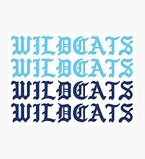 Wildkatzen Wildkatzen Wildkatzen Wildkatzen Fotodruck