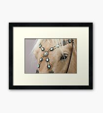Equine Jewels Framed Print