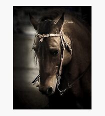 Horse Art Photographic Print