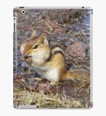 Food...Glorious Food! iPad Case/Skin