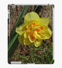 Double Daffodil iPad Case/Skin