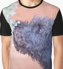 Black Labradoodle 3 Graphic T-Shirt