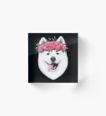 Samoyed with flowers on black Acrylic Block