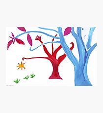 Midnight Garden cycle12 18 Photographic Print