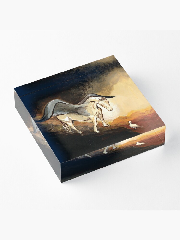 Alternate view of Winged horse with seagull - Silver Stream Children's Book illustration Acrylic Block