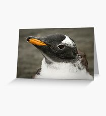 Gentoo! Greeting Card