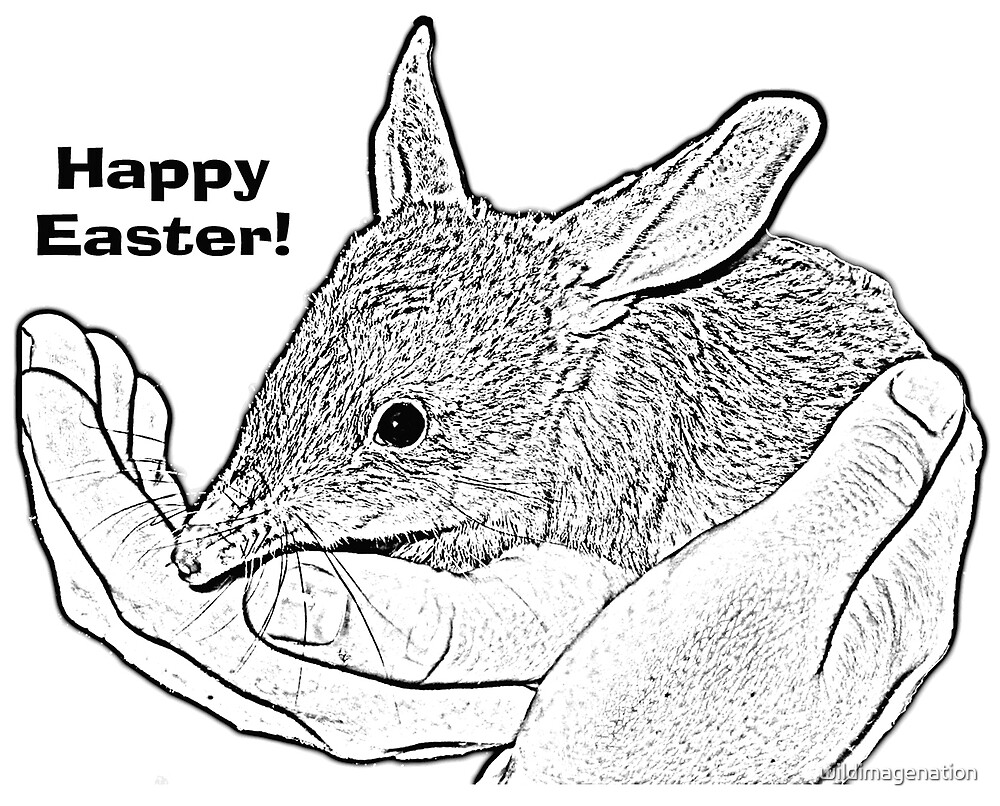 "Happy Easter Bilby" by wildimagenation Redbubble