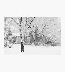 Backyard Snowscape Photographic Print