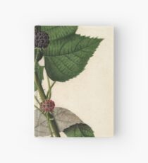 Vintage Malerei von Brombeeren Notizbuch
