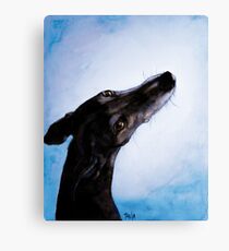 Greyhound - Galgo Español - Always there Canvas Print