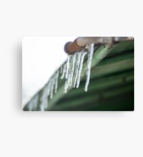 ice Canvas Print