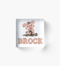 Brock Piggy Acrylic Block