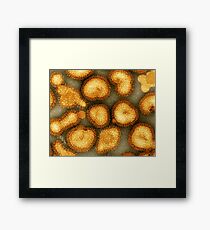 Influenza Virus Framed Print