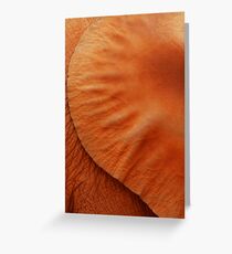 ear Greeting Card