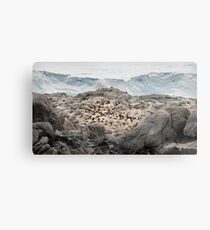 Nursery Metal Print