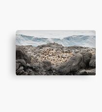 Nursery Canvas Print