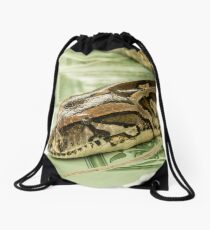 Well Fed Drawstring Bag
