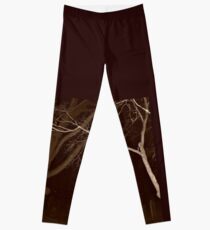 Spirit Trees in the Cemetery at Night Leggings