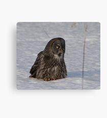 CLAUS Canvas Print