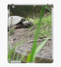 Snapping Turtle iPad Case/Skin