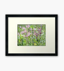 Prairie Smoke Framed Print