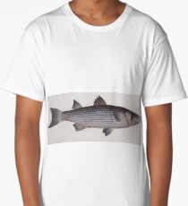 Vintage Illustration of an Atlantic Mullet (1785) Long T-Shirt