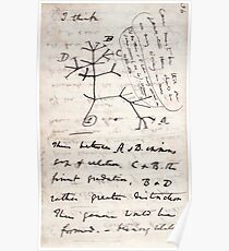I Think - Charles Darwin 1 Poster