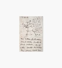 I Think - Charles Darwin 1 Art Board