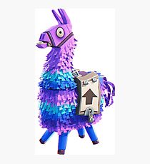 Fortnite Llama Pinata 3D Photographic Print