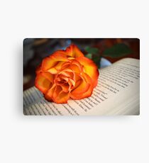 Love of Books Canvas Print