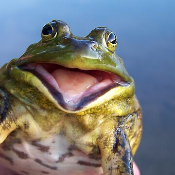  Catch That Frog Gigging Hunter Bullfrog Frog Catching Tank Top  : Clothing, Shoes & Jewelry