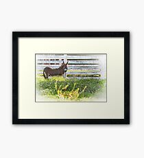 eeyore Framed Print