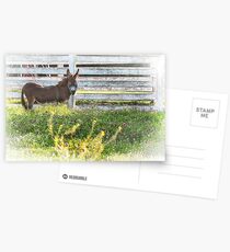 eeyore Postcards