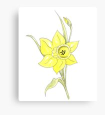 Single Spring Yellow Daffodil on white background Canvas Print