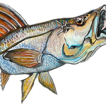 Snook  Art Print for Sale by Basart