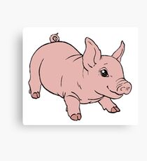 Playful Baby Pig Canvas Print