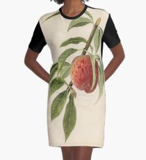 Vintage Illustration of a Peach Branch Graphic T-Shirt Dress