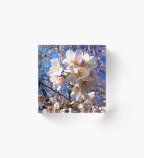 Blue Blossoms Acrylic Block
