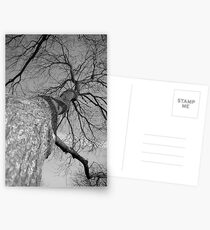 Outreach Postcards