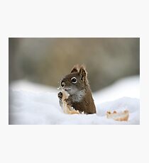 Fast Food Photographic Print