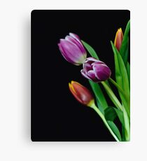 Spring Blooms Canvas Print