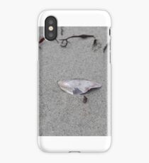 Sea Shell iPhone Case