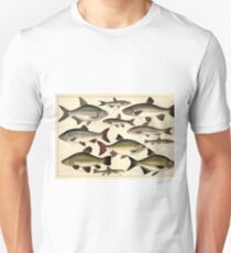 Vintage Illustration of Various Fishes (1902) Unisex T-Shirt